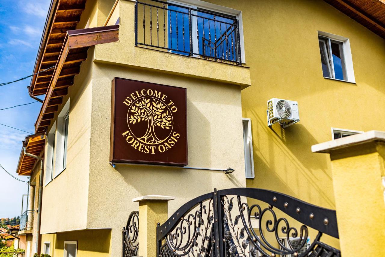 Forest Oasis Guest House Free Parking 萨帕雷瓦巴尼亚 外观 照片