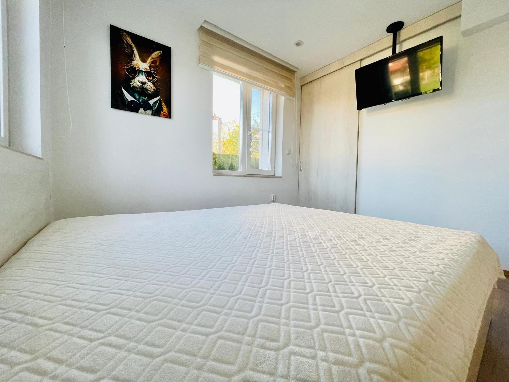 Forest Oasis Guest House Free Parking 萨帕雷瓦巴尼亚 外观 照片