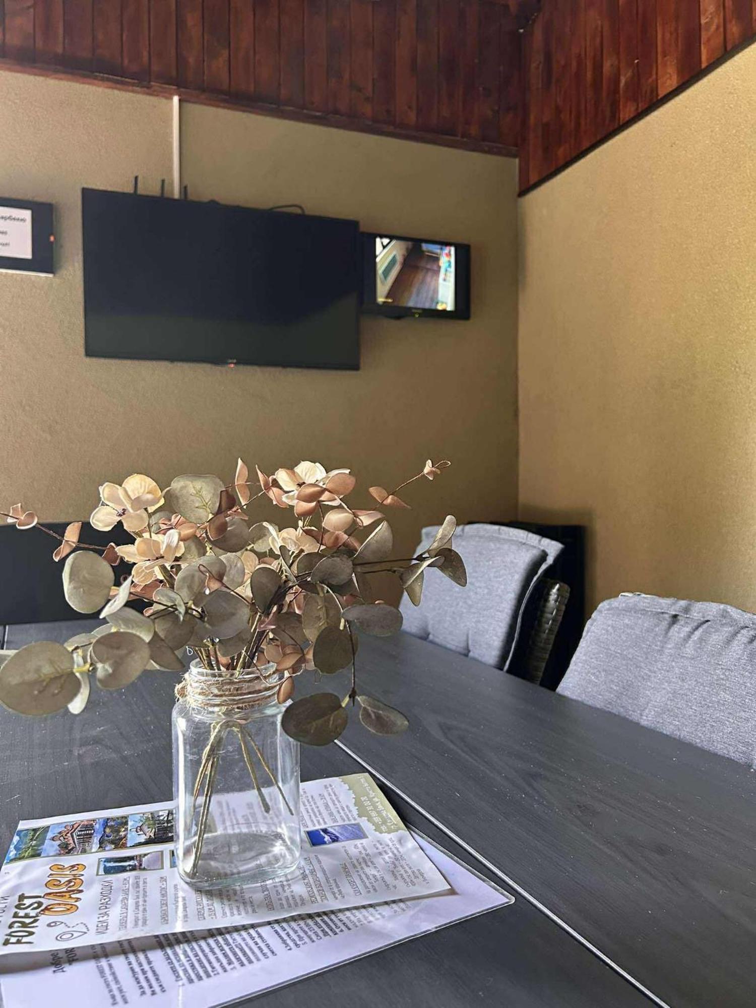 Forest Oasis Guest House Free Parking 萨帕雷瓦巴尼亚 外观 照片